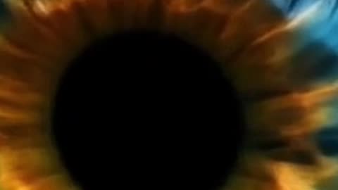 Blackholes
