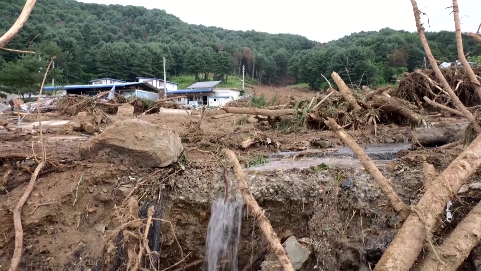 Deadly landslides claim mounting toll after heavy rain in South Korea