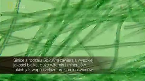 CZEKAJĄC NA APOKALIPSĘ 1 dokument pl