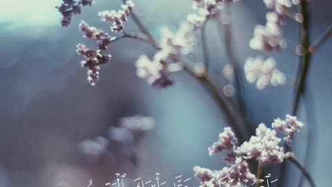 🔥Surah Al-Ḥijr 15:97–99💔✨سورہ الحجر #love #quran #viral #shorts #trending #shortvideo #viralvideo