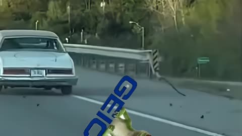 Dumb Decisions