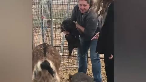 Try not to laugh 😂