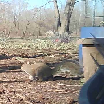 EA S165 - Search & Eat