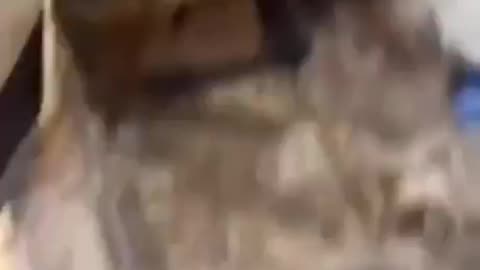 Engine Down