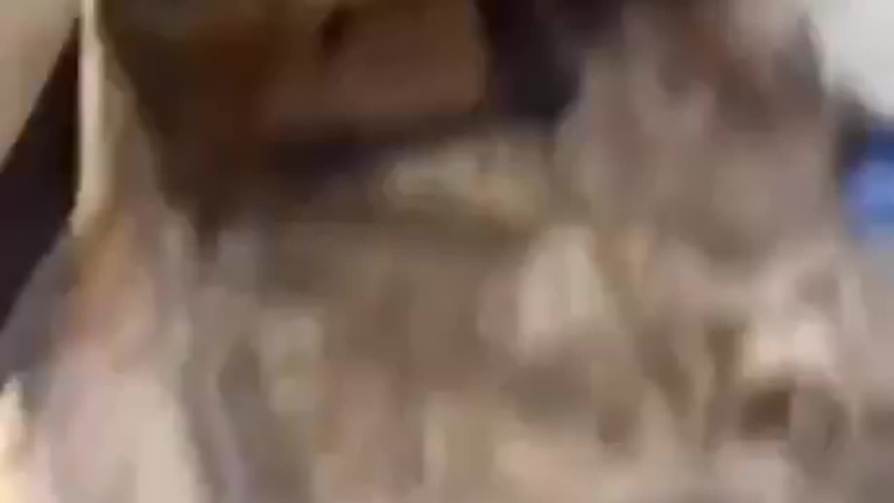 Engine Down