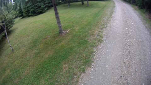 June 22nd, 61º