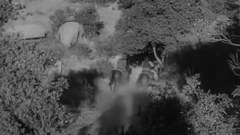 Gunman Of Abilene (1950 Western) Allan Rocky Lane