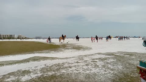 Horses and remote control cars at the beach