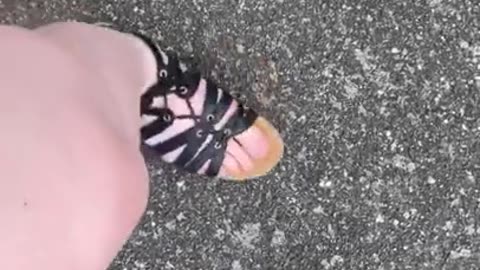 Super Crunchy Walk