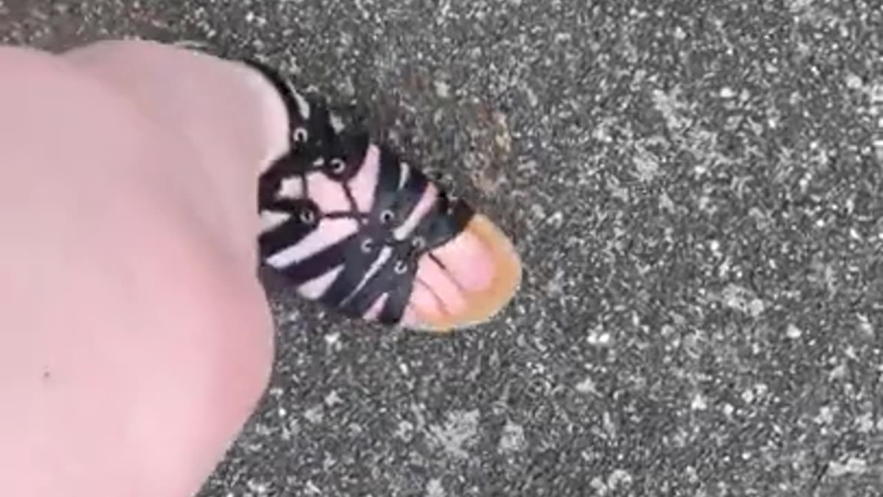 Super Crunchy Walk