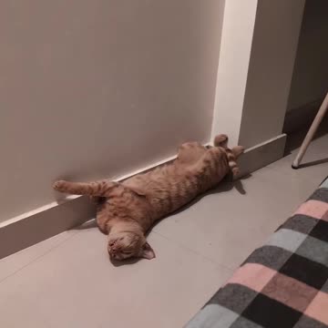 Chillin' with the Suvi 💕