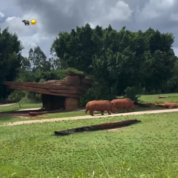 Welcome to Australia 🇦🇺