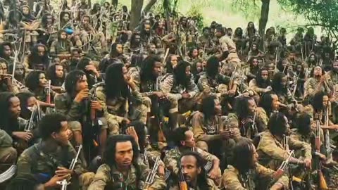 Gabaasa Tarkaanfii ONM-ABO Onkoloolessa 18-2025 itti dhiyaadhaa!