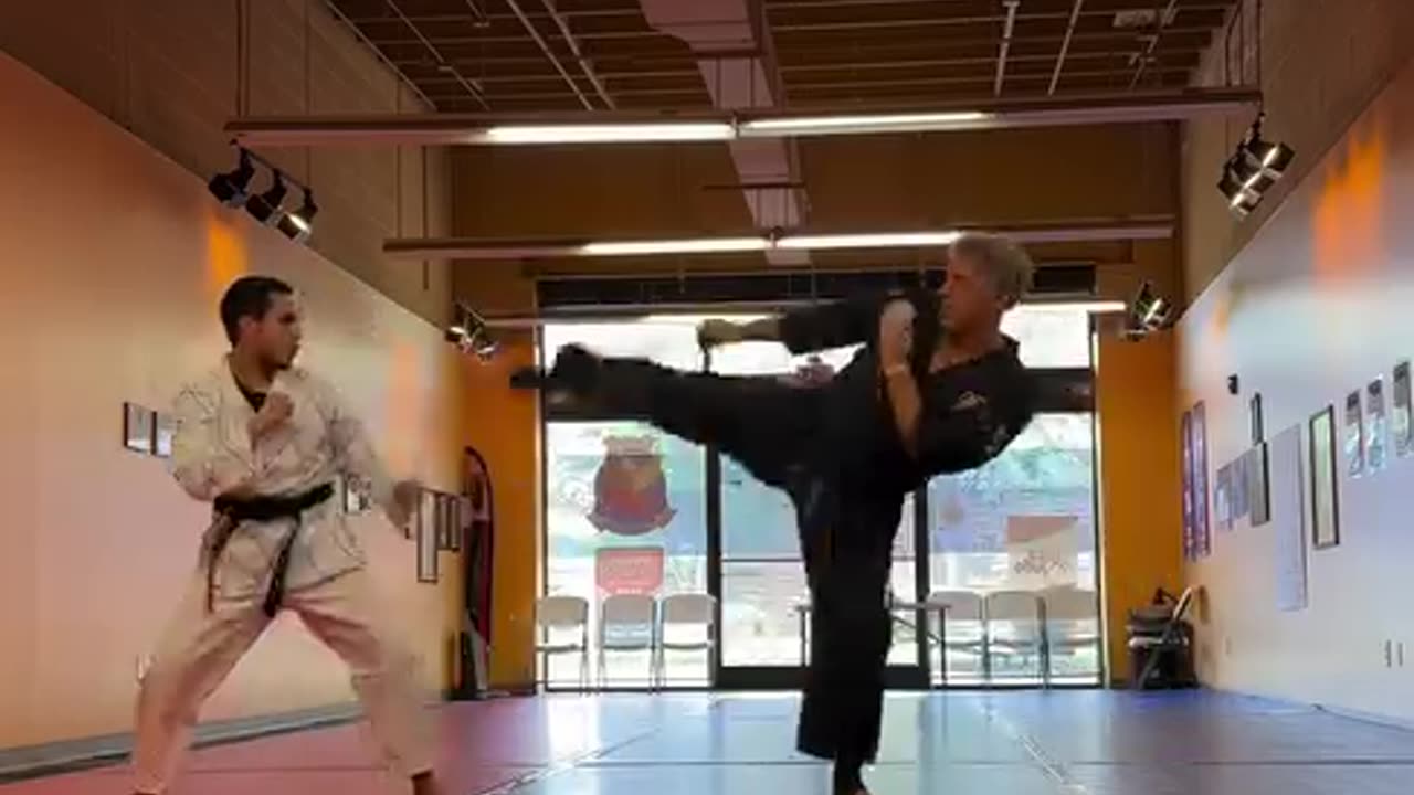 Tong Hap Kwan Hoshinsul Kicking Drill