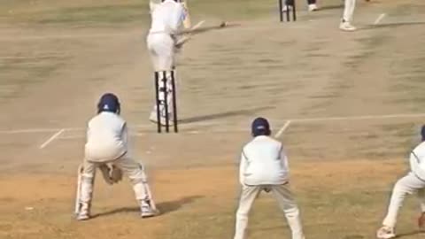 Cricket vedeo