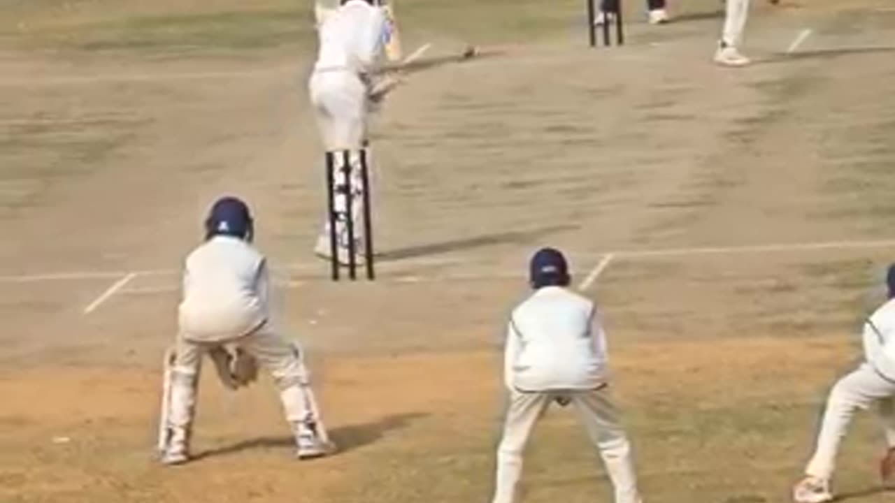Cricket vedeo