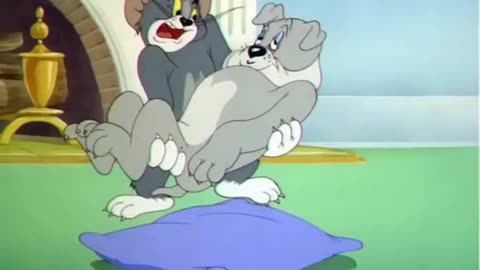 funny funny videos funny jokes funny animals funny memes funny movies funny bone