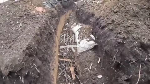 Trenches war