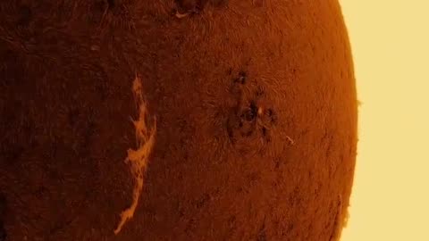 🤯✨ You Won't Believe What's Happening on the Sun's Surface! | FeedMyCuriosity