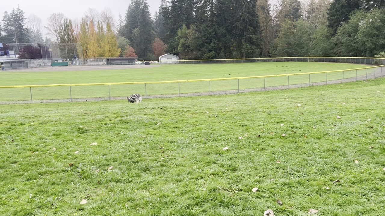 Yuma and his all time best friend, Grizz go for a chase