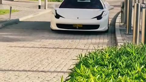 😎👍 Which One Do You Like? Luxury Sports Cars | LuxurySportsCars