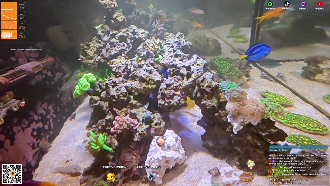 24/7 Real Live Reef Stream