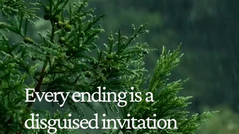 Every Ending Is Just the Beginning of Your Next Evolution 🌱🔥