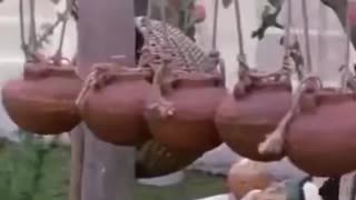 😂🔬 Hilarious Science Fails You Won't Believe! | FunFM