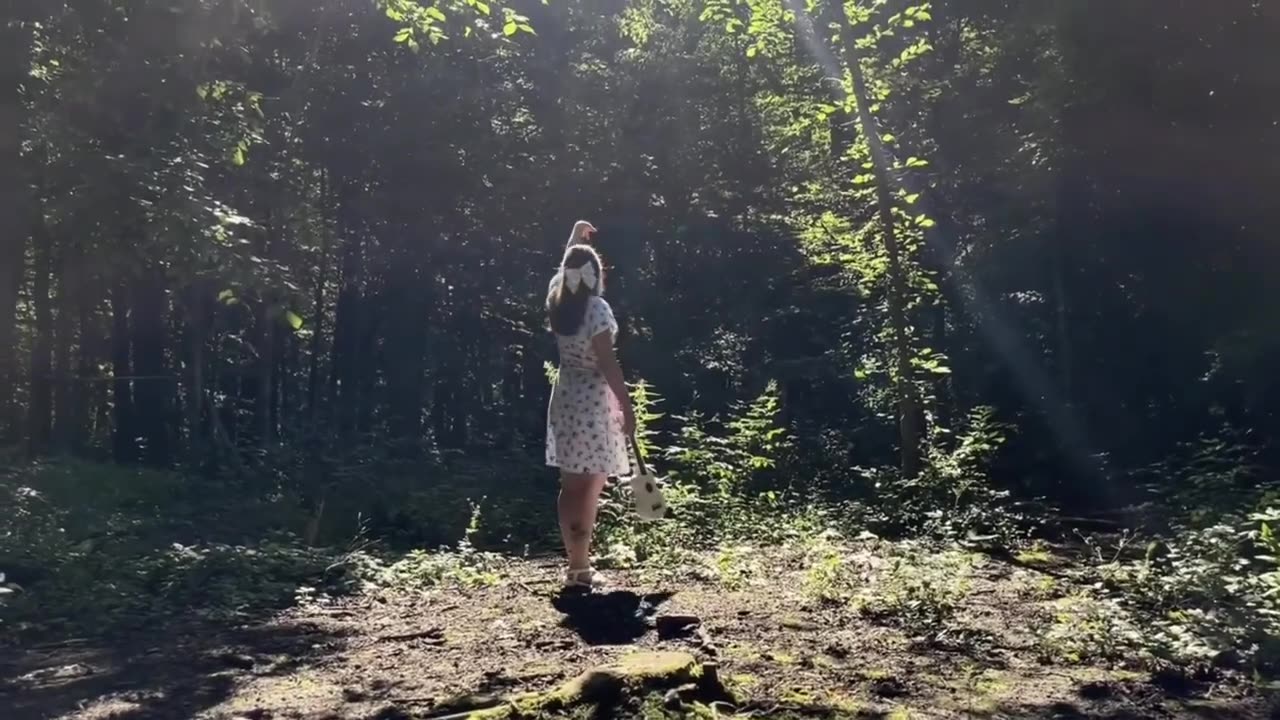 Child of the sun in the forest, how not to be left alone