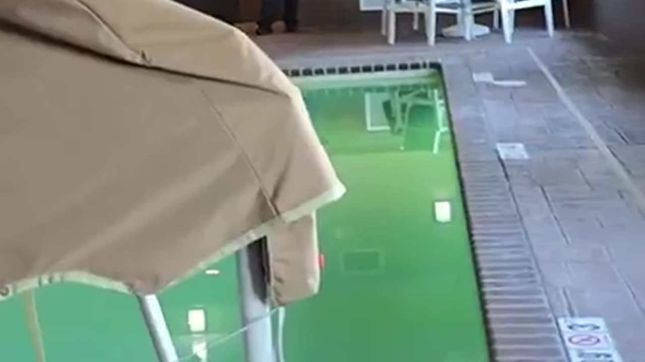 Catch #378 Jerimah 29 of Clinton KY came to Sikeston MO to meet with a 13 yo decoy