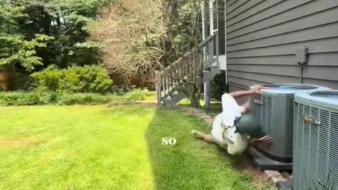 😂✨ The Power of Teleport? You Won't Believe This! | FunFM