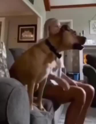 ⚽️ Football fan energy