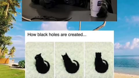 #funny #memes #fyp