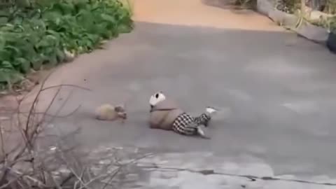Cuties Baby and Puppy