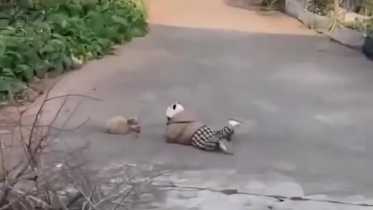 Cuties Baby and Puppy