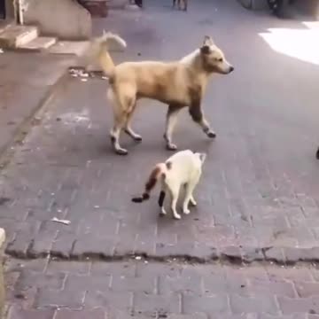 If you don’t laugh, we’ll send you a clown