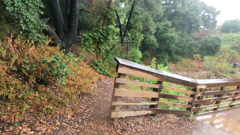 Bridge over creek in the rain