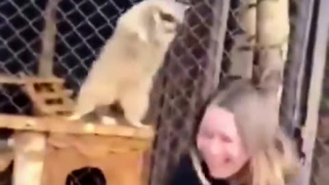 #funny videos