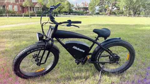 Hidoes B3 Electric Bike 1200W Brushless Motor 48V 17.5Ah Battery 26*4.0Inch Fat Tires Electric Bike
