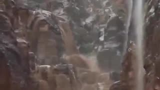 Look at the crazy flash flood in Petra, Jordan.
