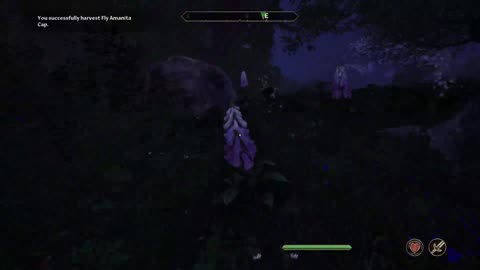 The Veiled Shadow (again tonight) Invisible Elf in Oblivion Remastered - Expert Diff