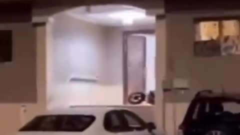 Finn video