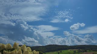 ✨RELAX WITH AMBIENT STORM ✨ #timelapse