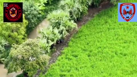 🛸🌿 Myanmar War | Phoenix Wings Drone Strikes Junta in Shartaw | RCF