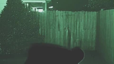 [MY BACKYARD CCTV] at Night #horror #peranormal #creepy