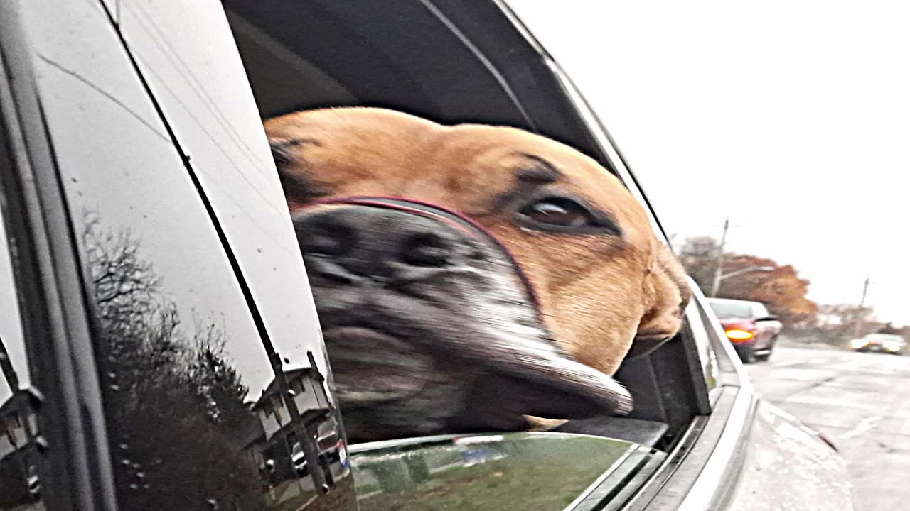 10. Rain and the Strome I Bring A-Cappella