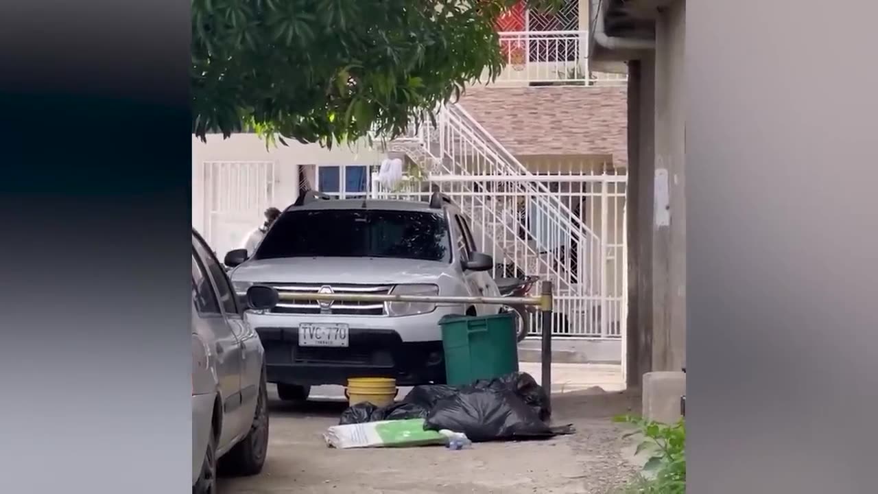 best funny video