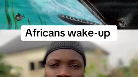 Afrikans wake up