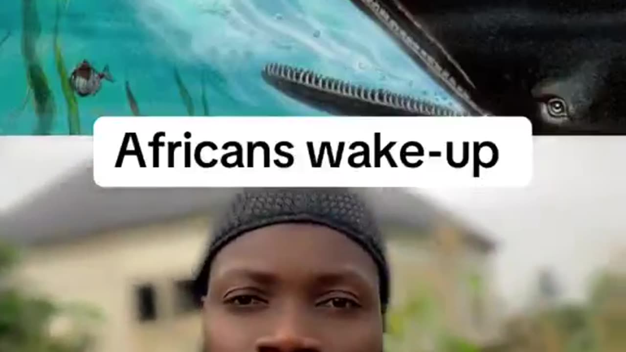 Afrikans wake up