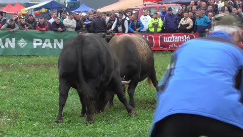 Zećo od Lope vs Medonja od Faića Banovići 2025